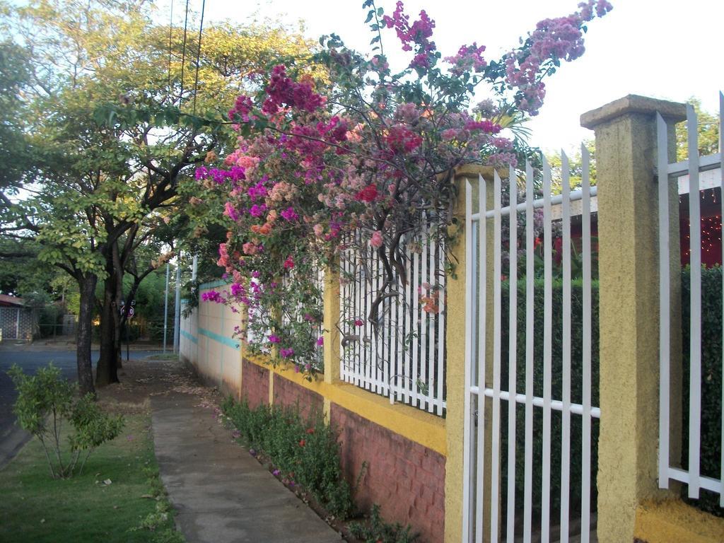 Hostal Casa Los Espinoza Μανάγκουα Εξωτερικό φωτογραφία